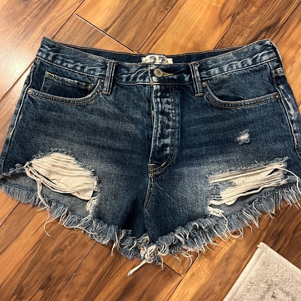 Free People Loving Good Vibrations Shorts